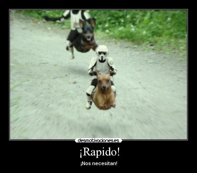 ¡Rapido! - ¡Nos necesitan!