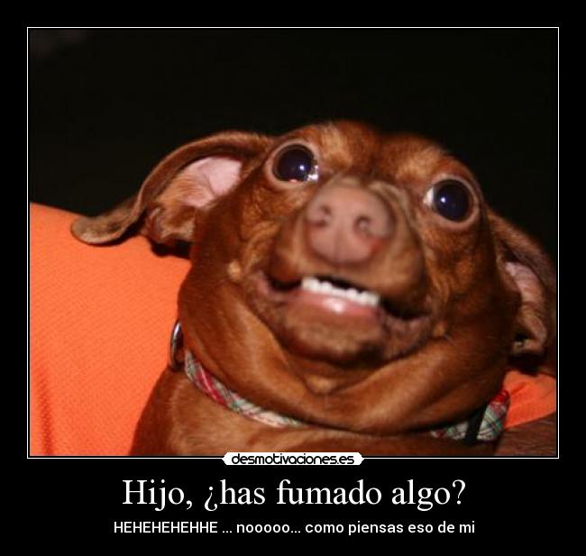Hijo, ¿has fumado algo? - HEHEHEHEHHE ... nooooo... como piensas eso de mi