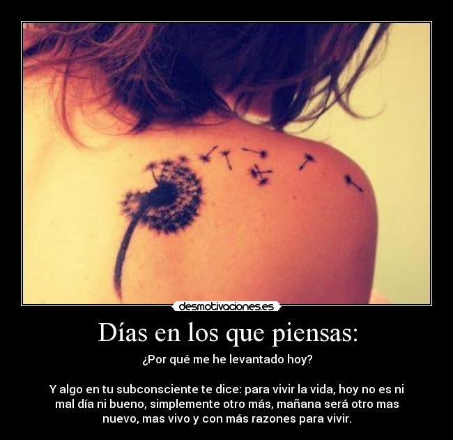 Días en los que piensas: - ¿Por qué me he levantado hoy?
Y algo en tu subconsciente te dice: para vivir la vida, hoy no es ni
mal día ni bueno, simplemente otro más, mañana será otro mas
nuevo, mas vivo y con más razones para vivir.