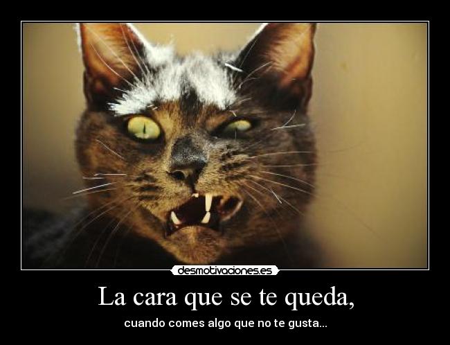 La cara que se te queda, - 