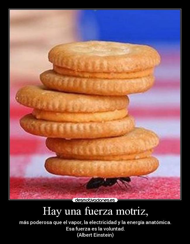 Hay una fuerza motriz, - más poderosa que el vapor, la electricidad y la energía anatómica.
Esa fuerza es la voluntad.
(Albert Einstein)