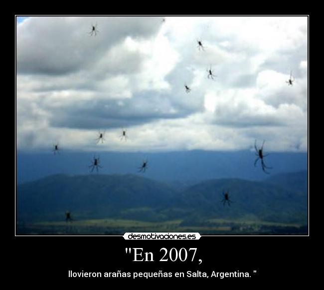 En 2007, - llovieron arañas pequeñas en Salta, Argentina. 