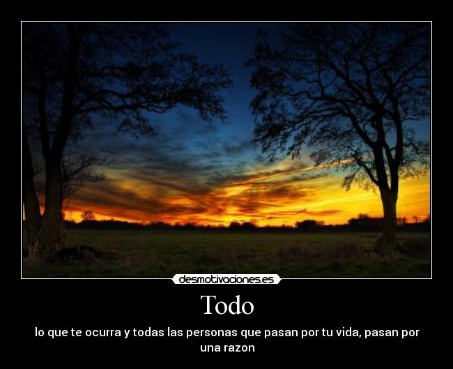 Todo -