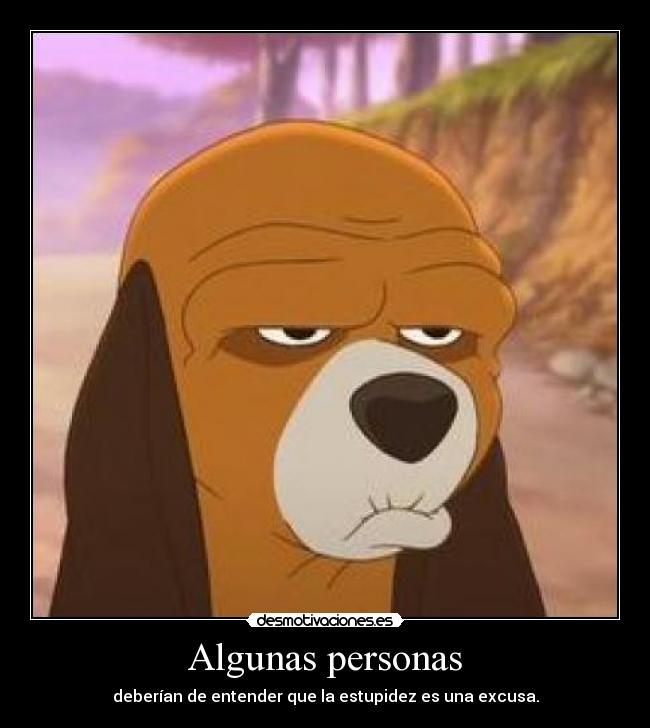 Algunas personas - deberían de entender que la estupidez es una excusa.