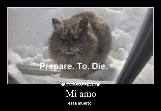 Mi amo - está muerto!!
