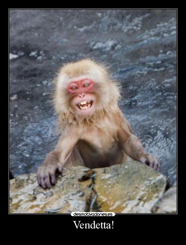 Vendetta! - 
