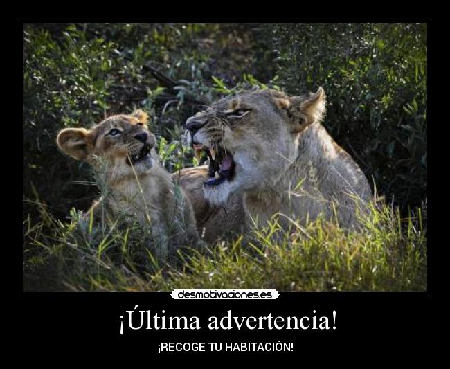 ¡Última advertencia! - 