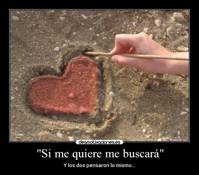 Si me quiere me buscará - 