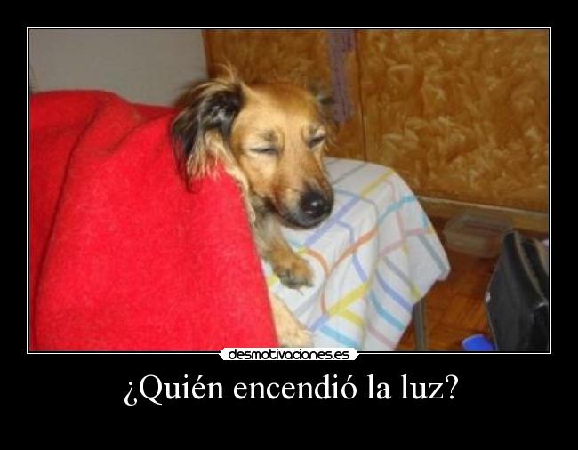 ¿Quién encendió la luz? -