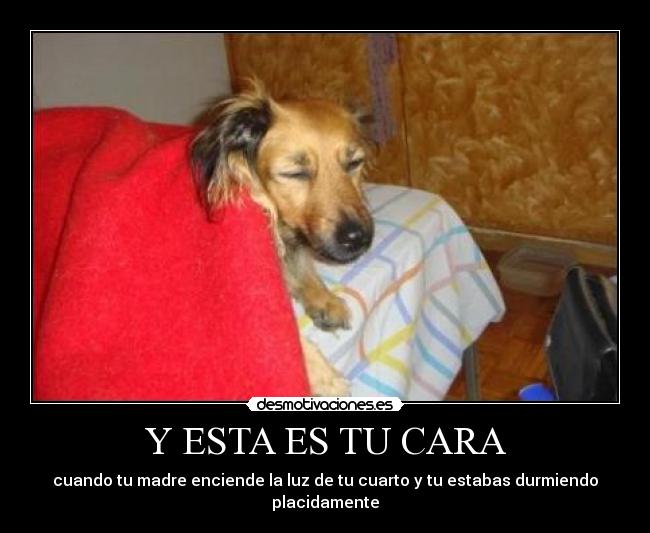 Y ESTA ES TU CARA - cuando tu madre enciende la luz de tu cuarto y tu estabas durmiendo placidamente