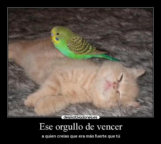 Ese orgullo de vencer - 