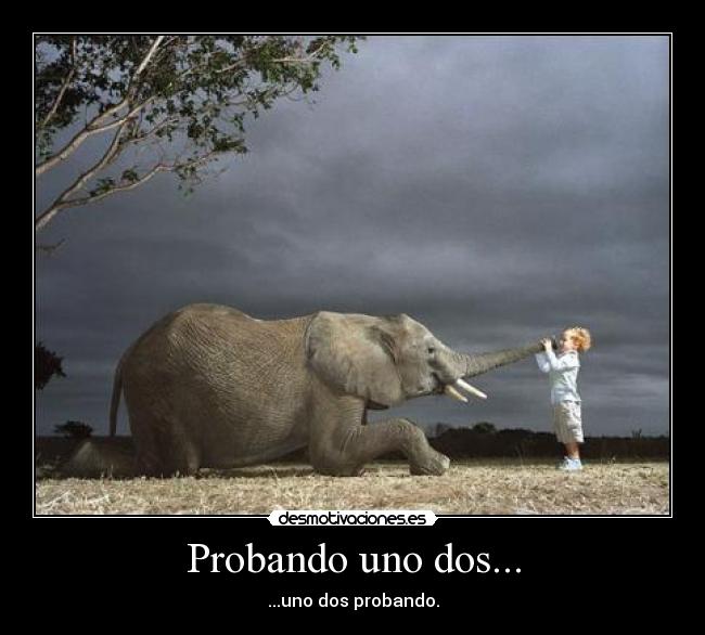 Probando uno dos... - ...uno dos probando.