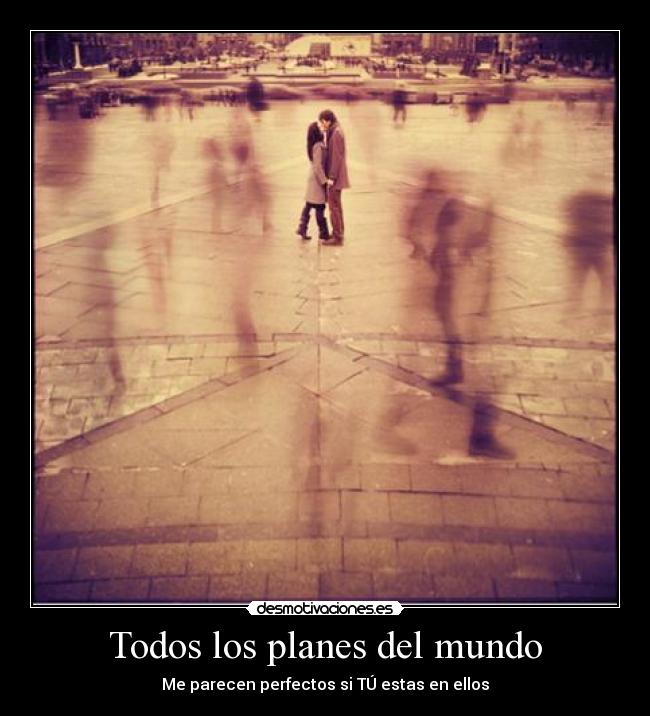 Todos los planes del mundo -