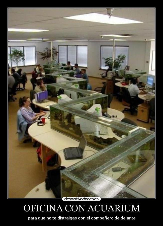OFICINA CON ACUARIUM - para que no te distraigas con el compañero de delante