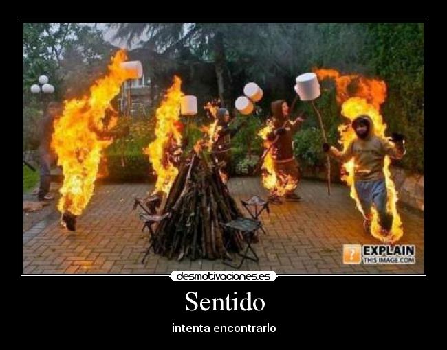 Sentido - intenta encontrarlo