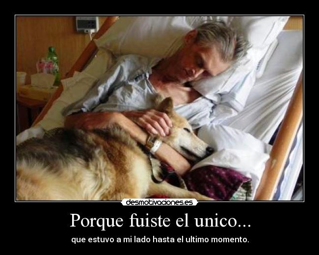 Porque fuiste el unico... -