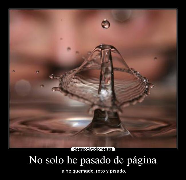 No solo he pasado de página - la he quemado, roto y pisado.