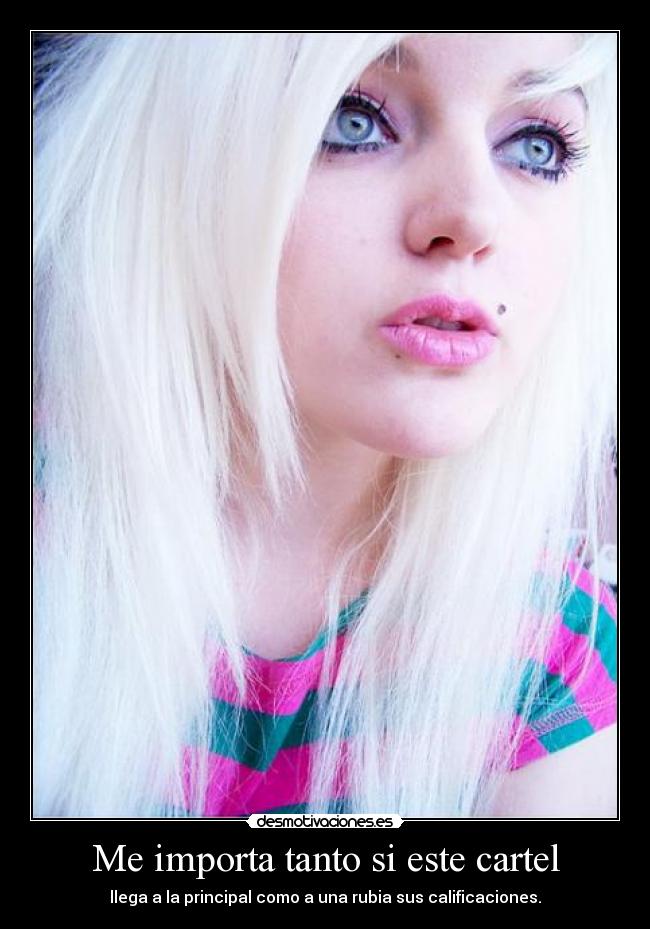 Me importa tanto si este cartel - llega a la principal como a una rubia sus calificaciones.