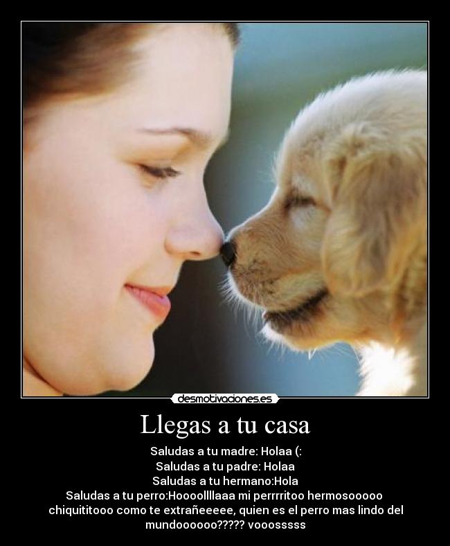 Llegas a tu casa - Saludas a tu madre: Holaa (:
Saludas a tu padre: Holaa
Saludas a tu hermano:Hola
Saludas a tu perro:Hoooollllaaa mi perrrritoo hermosooooo
chiquititooo como te extrañeeeee, quien es el perro mas lindo del
mundoooooo????? vooosssss
