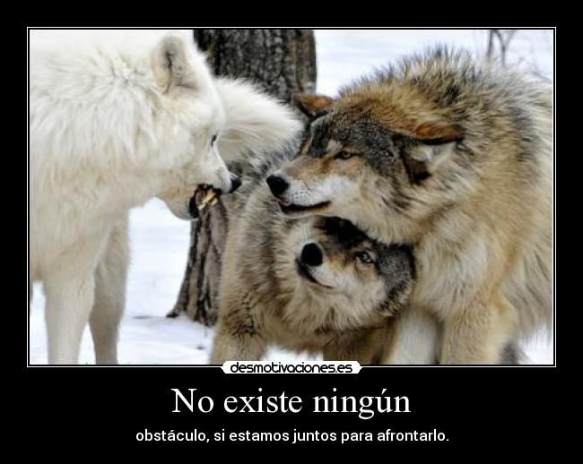 No existe ningún - obstáculo, si estamos juntos para afrontarlo.