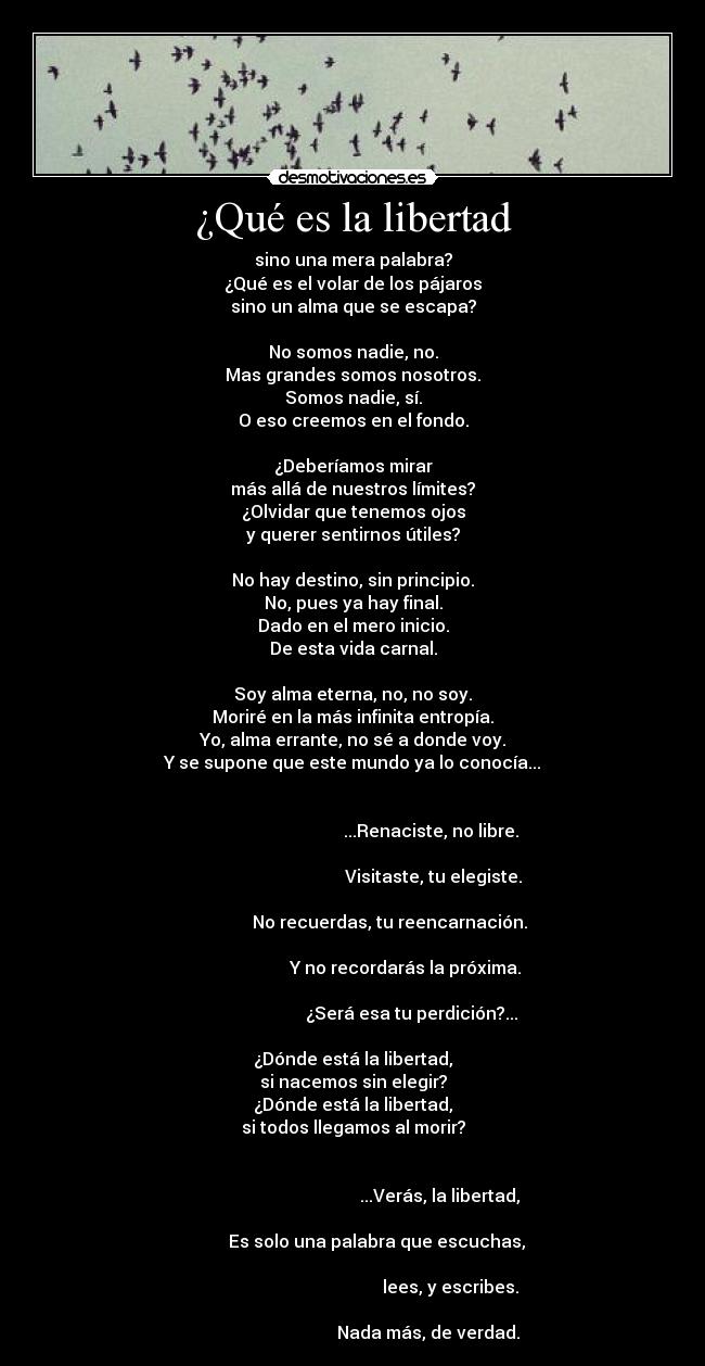 ¿Qué es la libertad - sino una mera palabra?
¿Qué es el volar de los pájaros
sino un alma que se escapa?

No somos nadie, no.
Mas grandes somos nosotros.
Somos nadie, sí.
O eso creemos en el fondo.

¿Deberíamos mirar
más allá de nuestros límites?
¿Olvidar que tenemos ojos
y querer sentirnos útiles?

No hay destino, sin principio.
No, pues ya hay final.
Dado en el mero inicio.
De esta vida carnal.

Soy alma eterna, no, no soy.
Moriré en la más infinita entropía.
Yo, alma errante, no sé a donde voy.
Y se supone que este mundo ya lo conocía...

                                                                                                           ...Renaciste, no libre.
                                                                                                            Visitaste, tu elegiste.
                                                                                        No recuerdas, tu reencarnación.
                                                                                               Y no recordarás la próxima.
                                                                                                  ¿Será esa tu perdición?...

¿Dónde está la libertad,
si nacemos sin elegir?
¿Dónde está la libertad,
si todos llegamos al morir?

                                                                                                               ...Verás, la libertad,
                                                                                  Es solo una palabra que escuchas,
                                                                                                                    lees, y escribes.
                                                                                                          Nada más, de verdad.