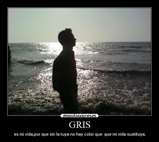 GRIS - 
