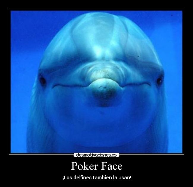 Poker Face - ¡Los delfines también la usan!