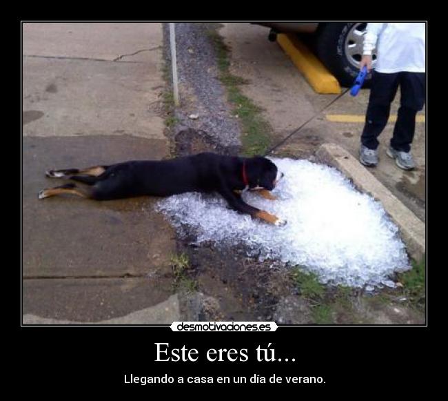 Este eres tú... - Llegando a casa en un día de verano.