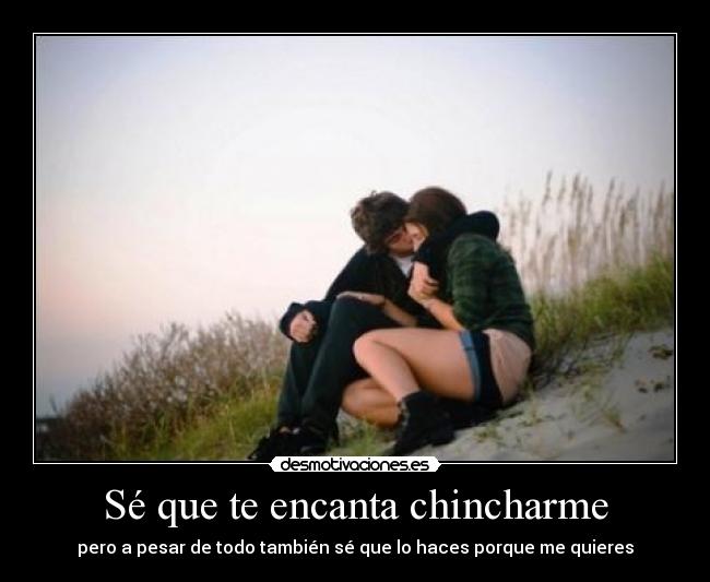 Sé que te encanta chincharme -