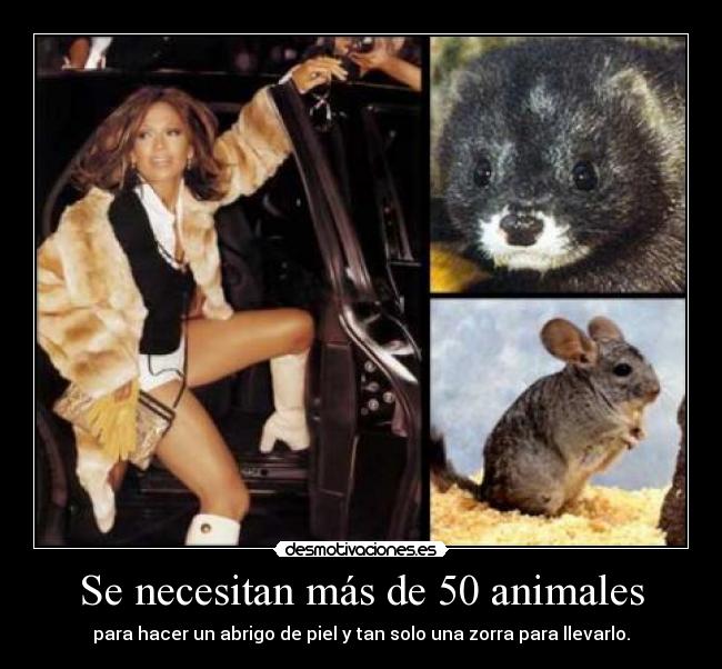 Se necesitan más de 50 animales - 