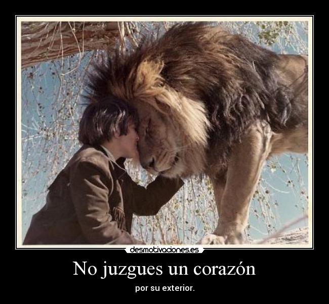 No juzgues un corazón -