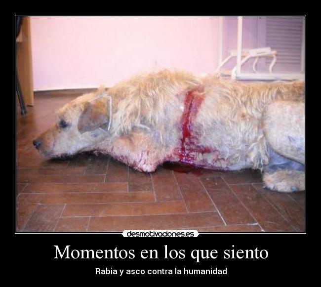 Momentos en los que siento - 