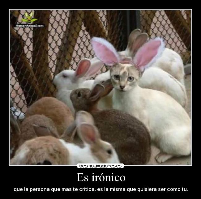 Es irónico - que la persona que mas te critica, es la misma que quisiera ser como tu.