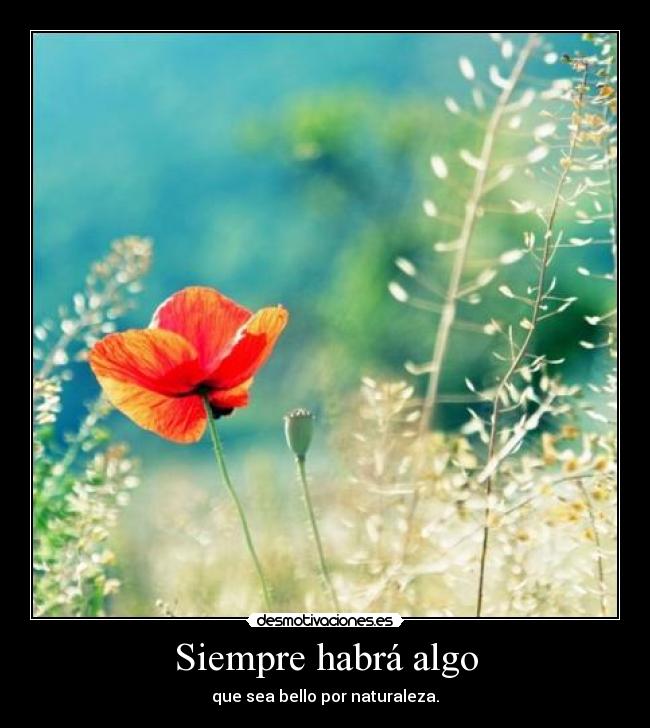 Siempre habrá algo - que sea bello por naturaleza.