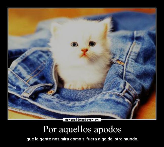 Por aquellos apodos -