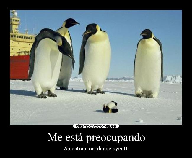 Me está preocupando -