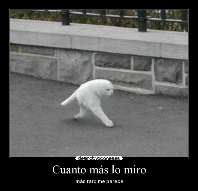 Cuanto más lo miro - 