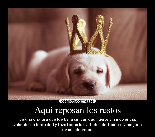 Aquí reposan los restos - de una criatura que fue bella sin vanidad, fuerte sin insolencia,
valiente sin ferocidad y tuvo todas las virtudes del hombre y ninguno
de sus defectos.