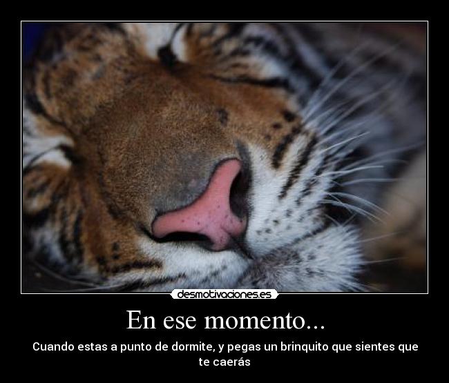 En ese momento... - Cuando estas a punto de dormite, y pegas un brinquito que sientes que te caerás