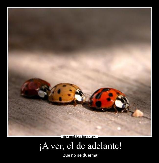 ¡A ver, el de adelante! - ¡Que no se duerma!