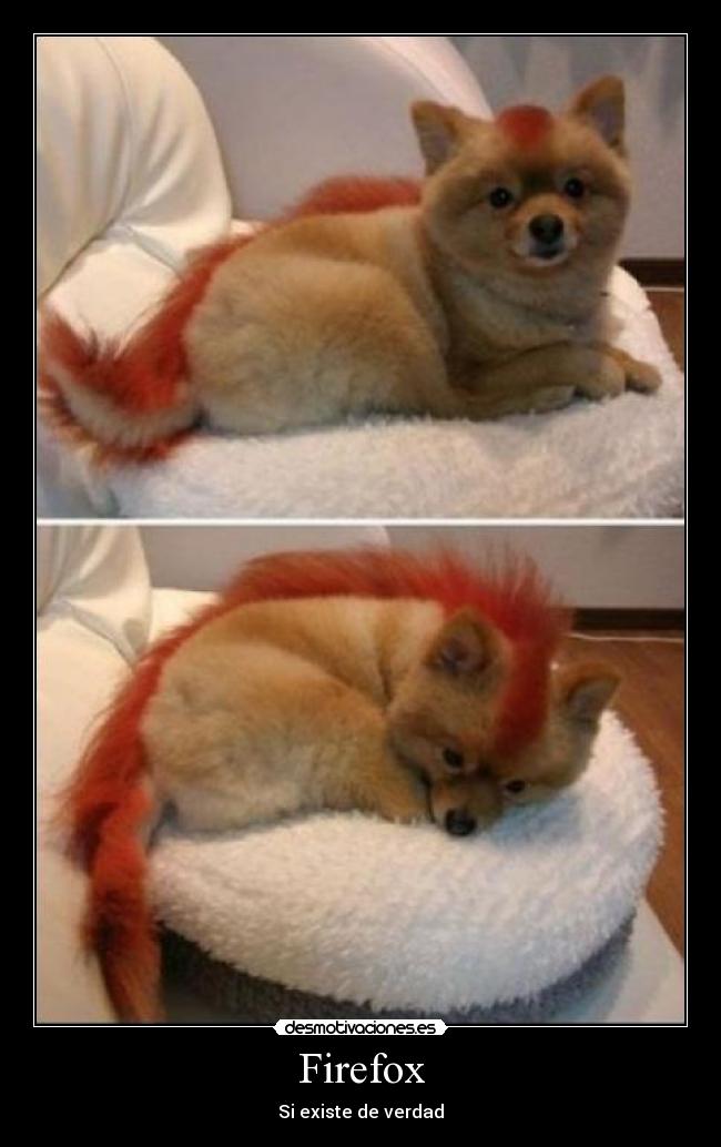 Firefox - 