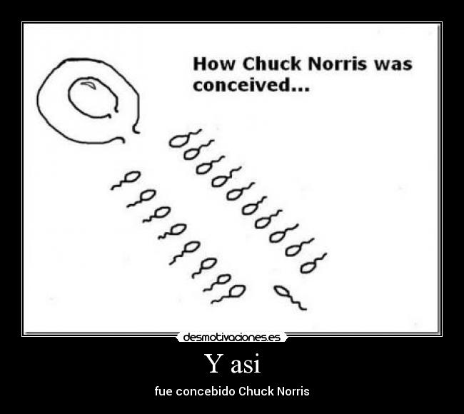 Y asi - fue concebido Chuck Norris