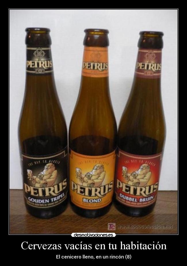 Cervezas vacías en tu habitación - El cenicero lleno, en un rincón (8)