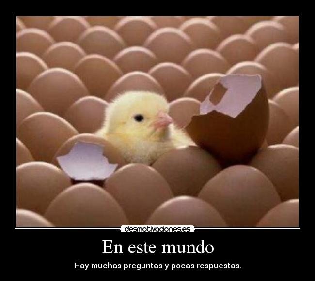 En este mundo - Hay muchas preguntas y pocas respuestas.