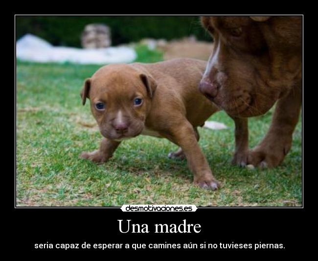 Una madre - 