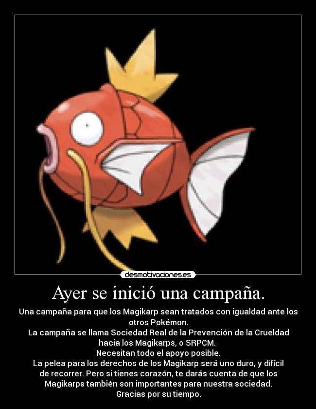 Ayer se inició una campaña. - Una campaña para que los Magikarp sean tratados con igualdad ante los
otros Pokémon.
La campaña se llama Sociedad Real de la Prevención de la Crueldad
hacia los Magikarps, o SRPCM. 
Necesitan todo el apoyo posible.
La pelea para los derechos de los Magikarp será uno duro, y difícil
de recorrer. Pero si tienes corazón, te darás cuenta de que los
Magikarps también son importantes para nuestra sociedad.
Gracias por su tiempo.