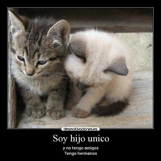 Soy hijo unico - y no tengo amigos
Tengo hermanos