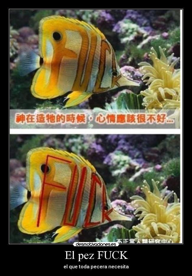 El pez FUCK - el que toda pecera necesita