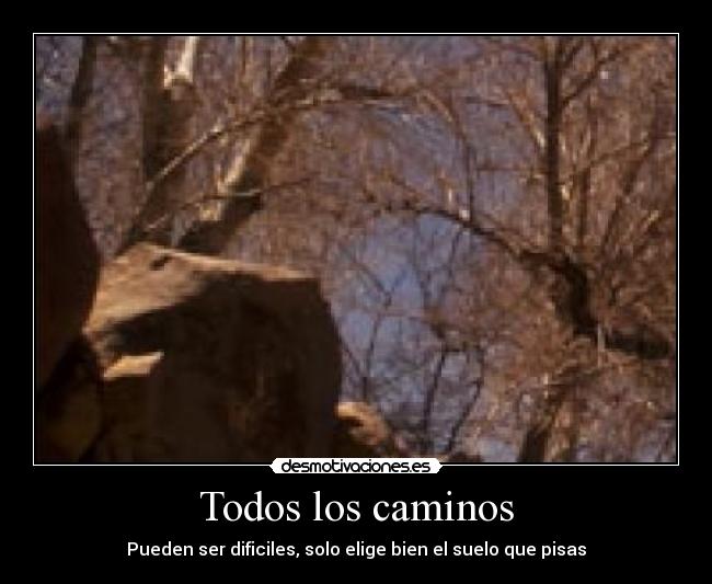 Todos los caminos -