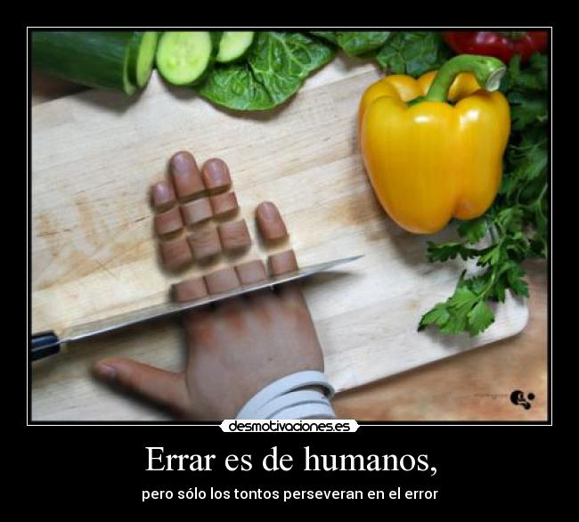 Errar es de humanos, - pero sólo los tontos perseveran en el error